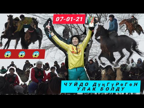 Видео: Чүй боорунда дүңгүрөгөн Улак болду 🔥🔥🔥 Көргөндө арманда, көрбөгөнда арманда 🏇🏇🏇