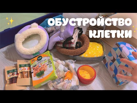 Видео: ОБУСТРАИВАЮ КЛЕТКУ НОВЫМИ ВЕЩАМИ ДЛЯ КРЫС☺️ *реакция крыс*