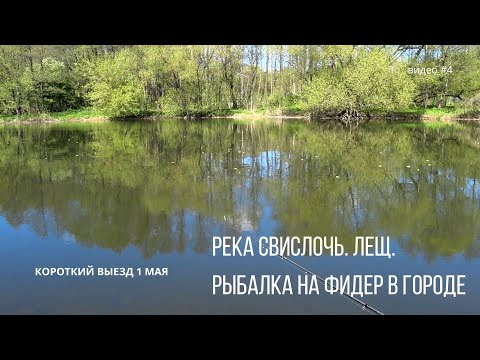 Видео: Река Свислочь. Лещ. Рыбалка на фидер в городе