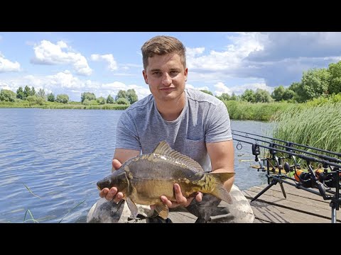 Видео: СУТОЧНАЯ РЫБАЛКА НА ПРУДУ ЗАРОСШИЙ С SS/Carp36, ЛИВЕНЬ, ГРЯЗЬ, БЕЗДОРОЖЬЕ (Воронежская область)