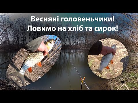 Видео: Весняні головеньчики!