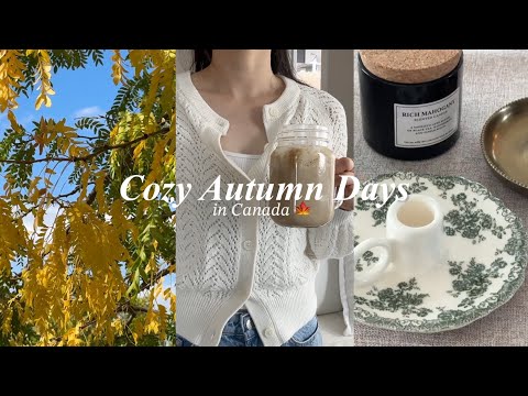 Видео: Уютный осенний день в Канаде🍁 | Тыквенный латте со специями🍂☕️ и осенние шопинг-находки