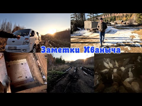 Видео: Домашние дела и приключения парней на лесной дороге
