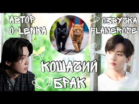 Видео: Кошачий брак / O-lenka / ЮнГуки