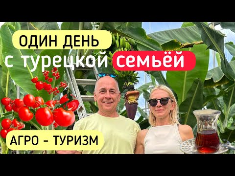Видео: ТУРЦИЯ 2025. АГРО-ТУРИЗМ/СЕКРЕТЫ ТУРЕЦКИХ ТЕПЛИЦ #турецкийвлог #мерсин