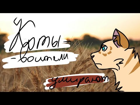 Видео: ру кв фандом умирает?\\коты воители\\