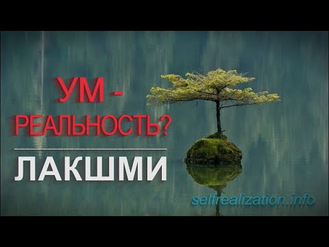 Видео: ЛАКШМИ. Ум – реальность и иллюзия. Как ведёт себя просветлённый
