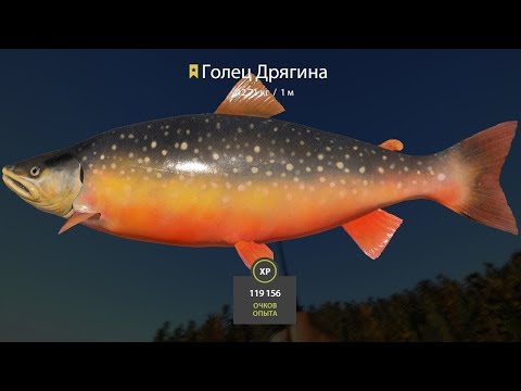 Видео: 📢СТРИМ РР4🔥В ПОИСКАХ РЫБЫ НА РАЗНЫХ ВОДОЕМАХ🔥РУССКАЯ РЫБАЛКА 4