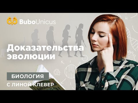 Видео: Доказательства эволюции: разбор задания | БИОЛОГИЯ ЕГЭ | Лина Клевер