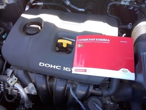 Видео: Киа Спортейдж (Хендай Туссан): причины задиров в двигателях G4NH, G4NA и G4KD