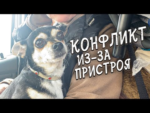 Видео: Спасение животных / Собачку закрывали в квартире одну когда уезжали