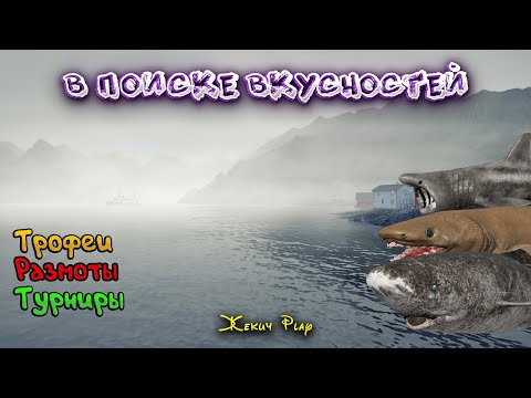Видео: В ПОИСКЕ ВКУСНОСТЕЙ на НОРВЕЖСКОМ МОРЕ | ЛОВИМ ТОЛЬКО на БОЛЬШИХ ЯМАХ | РУССКАЯ РЫБАЛКА 4 | СТРИМ