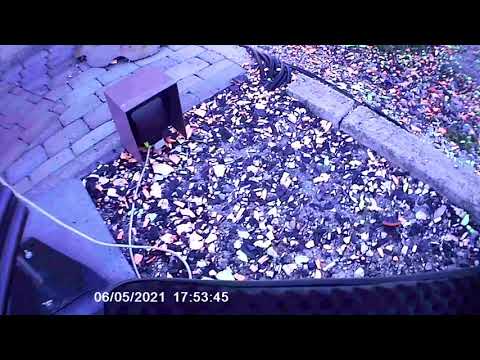 Видео: 06.05.21 г. отстрел патронов 28 калибра на латуни через хронограф, порох Сокол и Ирбис 410.