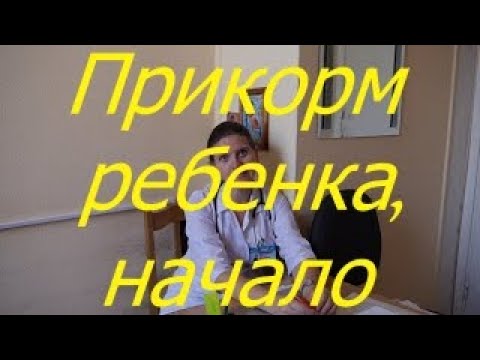 Видео: Прикорм ребенка, начало /  Мамули и детки