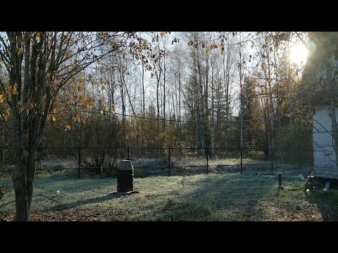 Видео: Дача за 150.000 - 8 серия: Ставлю забор в одного, жена разбирает печку.