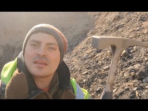Видео: Что можно найти в карьере с окаменелым углем?  Пиритовые подсолнухи,  отпечатки растений.