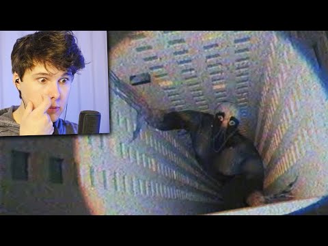 Видео: ВОЗМОЖНО САМОЕ СТРАШНОЕ ВИДЕО 2 - Реакция на The Backrooms (Found Footage)
