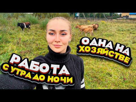 Видео: Мои Сутки в Деревне! 24 часа за 35 минут! | Молодая Ферма