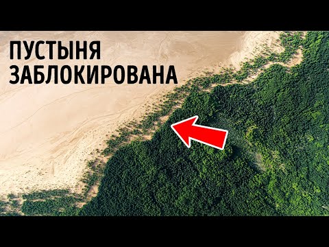 Видео: Эта страна убрала тонны песка из пустыни, но зачем?