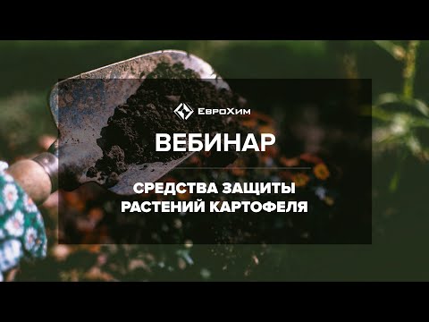 Видео: СРЕДСТВА ЗАЩИТЫ РАСТЕНИЙ: КАРТОФЕЛЬ