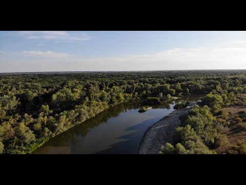 Видео: Конец отпуска с моторной лодкой на Медведице