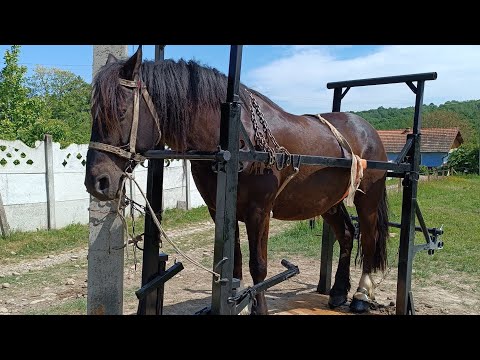 Видео: 🔝🥁МІЙ СТАНОК👍 ТА МОЯ РОБОТА💣 КУЮ КОНІ 🐎 КІНЬ ТА ЖЕРЕБЕЦЬ👍КУЄТЬСЯ