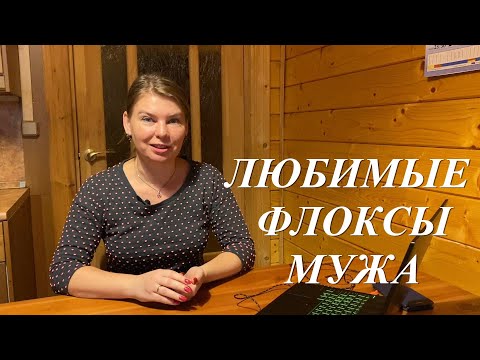 Видео: Любимые флоксы мужа. Какие растения нравятся нашим мужчинам