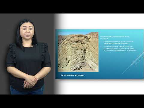 Видео: Матайбаева И. лекция № 9 "Тектонические нарушения"