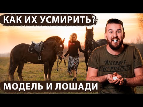 Видео: Лошади! Как фотографировать с лошадьми красиво и безопасно. Фотик В Руки Шоу 44 выпуск