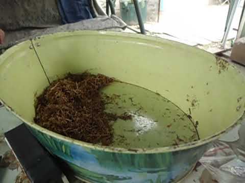 Видео: Дигустация табака солнечной сушки!"!!!