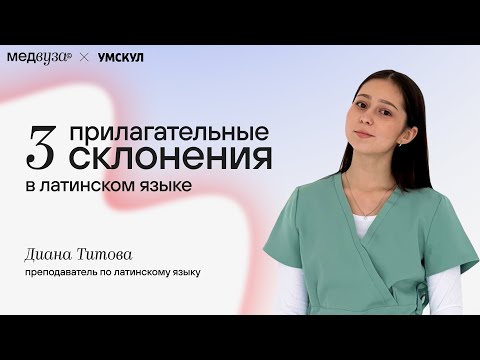 Видео: Прилагательные 3 склонения в латинском языке