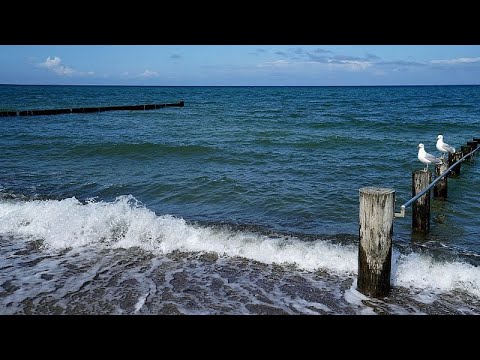 Видео: Подводные кабели связи повреждены в Балтийском море