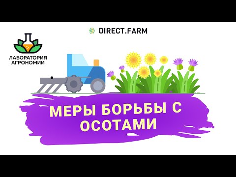 Видео: Корнеотпрысковые сорняки - меры борьбы