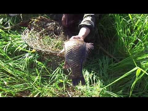 Видео: Мешок рыбы и домой! Рыбалка на вентерь.