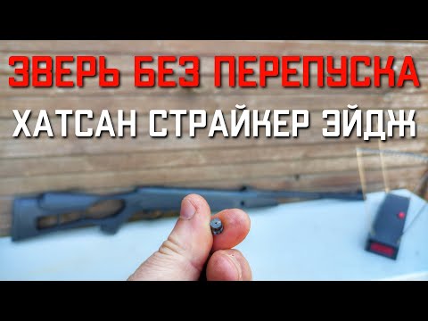 Видео: Пневматическая винтовка Хатсан Страйкер Эйдж ЗВЕРЬ БЕЗ ПЕРЕПУСКА #hatsan #hatsanedge