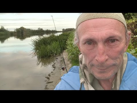 Видео: Прямая трансляция От крючка до прилавка А-М