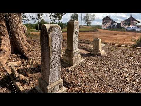Видео: На хлопковом поле в Джорджии найдено забытое кладбище | Спасено семейное кладбище Клементов!