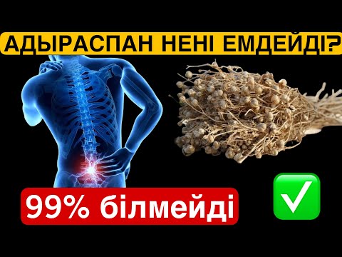 Видео: АДЫРАСПАН ШӨБІНІҢ ПАЙДАСЫ / СІЗ БІЛМЕЙТІН АДЫРАСПАННЫҢ ЕМДІК ҚАСИЕТІ