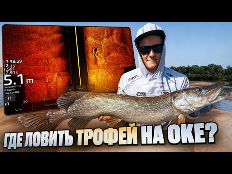 Видео: Безотказные ЛЕТНИЕ МЕСТА Оки!!! Где ловить ЩУКУ и СУДАКА на Джиг-Спиннинг!