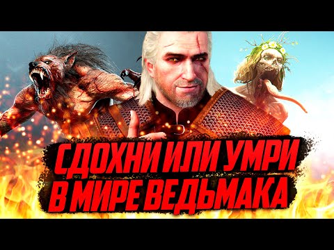 Видео: Почему вы НЕ ЗАХОТИТЕ жить в мире Ведьмака