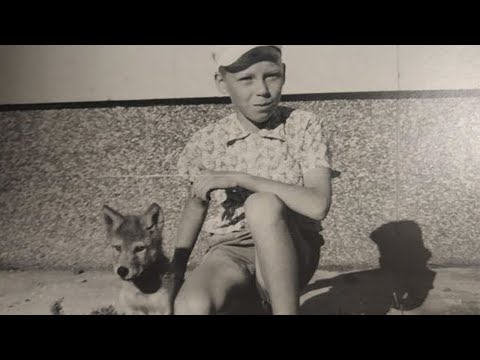 Видео: 💥Монгольский МАУГЛИ. Незабываемый случай 70-х.