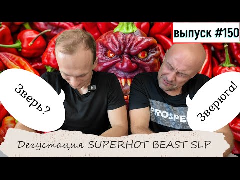 Видео: 150 Дегустация Superhot Beast SLP 14.08.2024