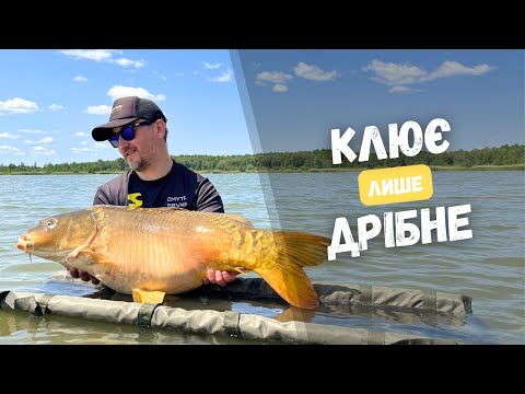 Видео: ВЕЛИКИЙ КОРОП НА ЗМАГАННЯХ - це не про нас. Ловимо карпа легшого за бутерброд