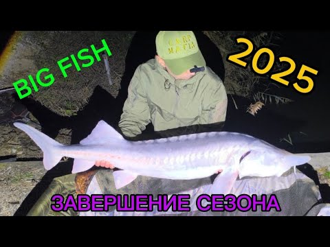 Видео: Завершение сезона на новом для меня питании