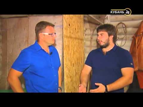 Видео: Сельские истории с Сергеем Курочкиным. Африканский сом