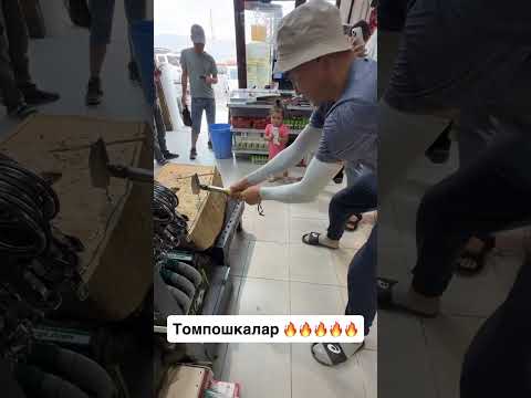 Видео: 4 сентября 2025 г.