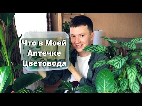 Видео: Чем подкормить комнатные растения? Чем бороться с вредителями? » Мой Опыт и Средства