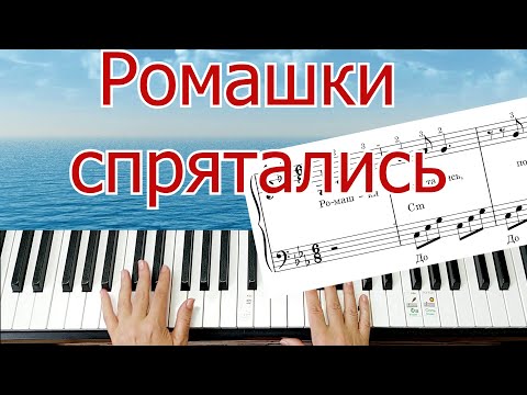 Видео: Ромашки Спрятались Полный Разбор Шлягер за Вечер ЛЕГКО ПРОСТО 4 аккорда + НОТЫ 🎵