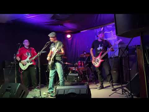 Видео: Как птицы