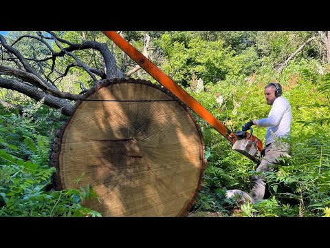 Видео: Экстремально опасные идиоты с бензопилой